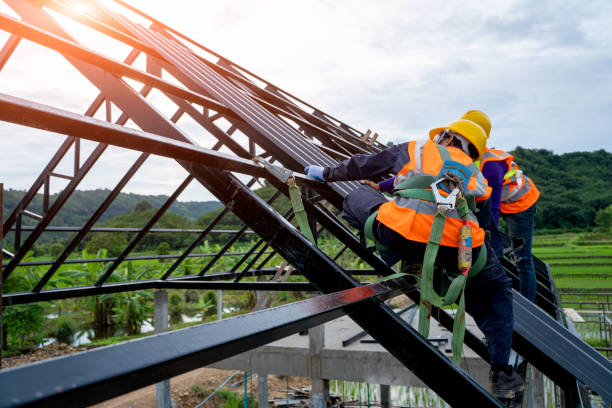 Best Flat Roof Repair Services  in Forest Park, OH