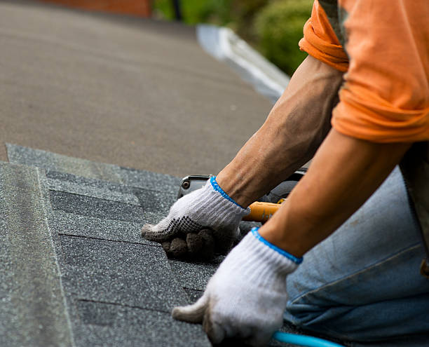 Best New Roof Installation  in Forest Park, OH